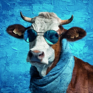 Шукаємо амбасадорів!