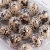 Яйця перепелині, уп. 20шт.